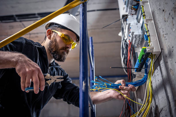Best Licensed Electrician  in Johnsonville, SC