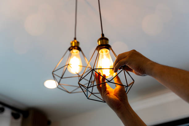 Best Home Electrical Repair  in Johnsonville, SC
