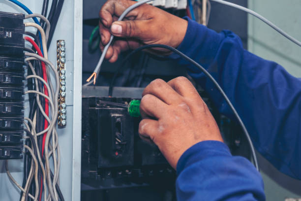 Best Affordable Electrician  in Johnsonville, SC
